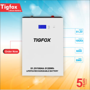 Tigfox 51.2V 100A lithium iron phosphate price in pakistan