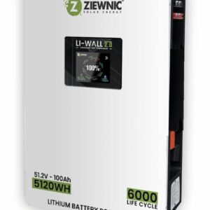 ziewnic battery 51.2v 100A