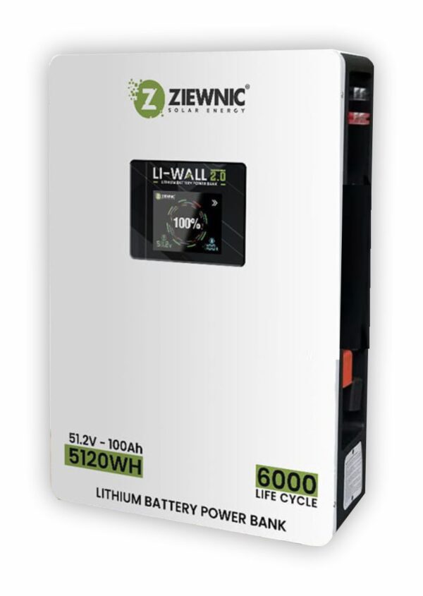 ziewnic battery 51.2v 100A